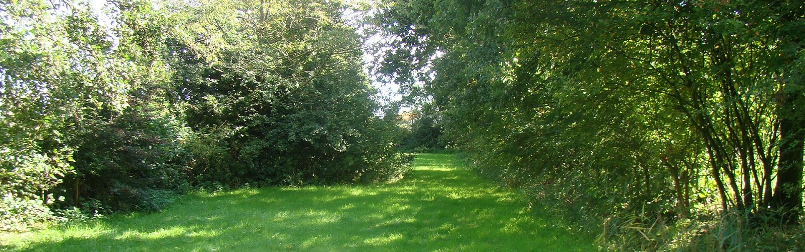 Sfeerbeeld van Limmen, Limmen